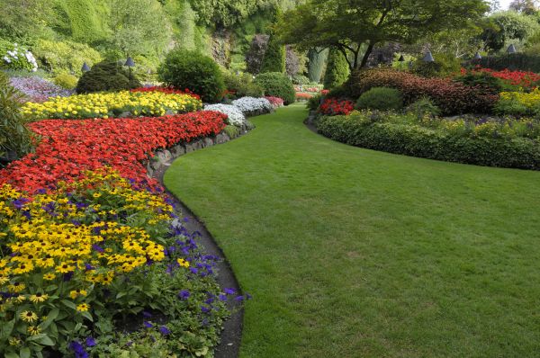 Landscaping Maintenance