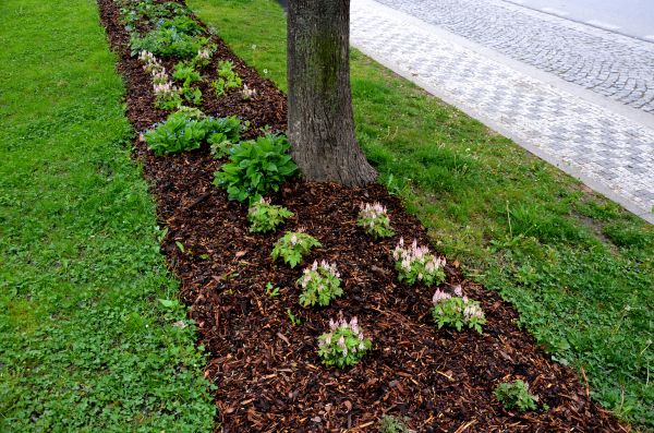 Mulch Replacement Service in Lilburn