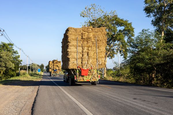 Pine Straw Delivery in Lilburn