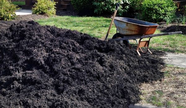 Black Mulch Delivery in Lilburn