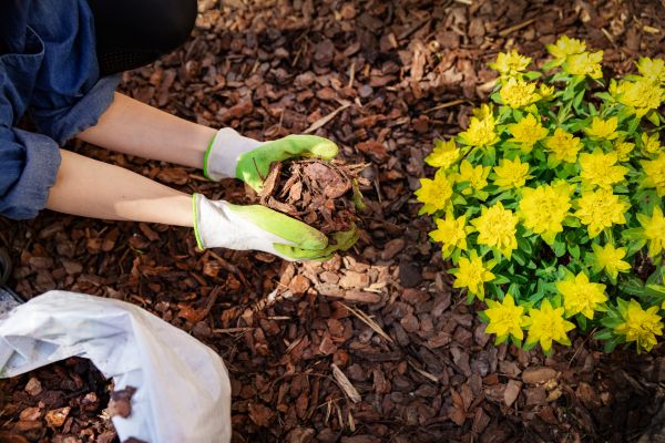 Garden Mulching in Lilburn