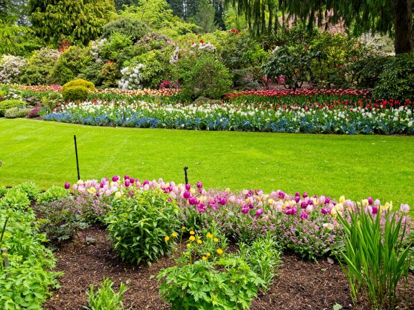 Residential Landscape Design in Lilburn