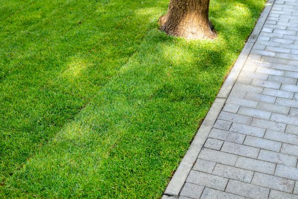 Border Stone Installation in Lilburn