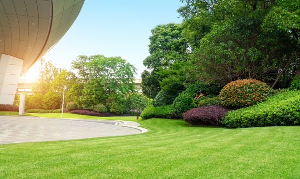 Business Landscape Design in Lilburn