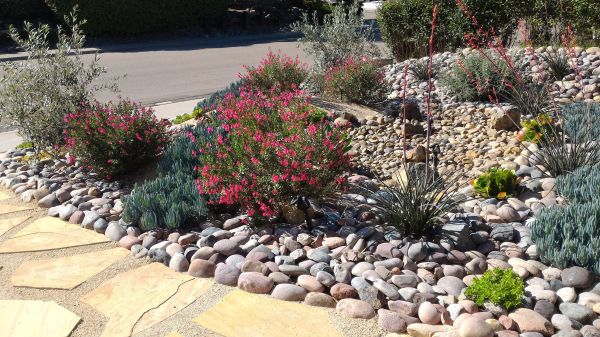 Xeriscape Landscaping in Lilburn