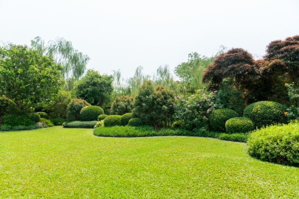 Tree Landscaping in Lilburn