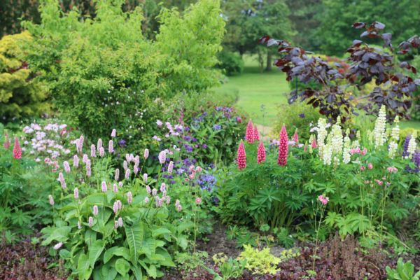 Flower Bed Planting in Lilburn