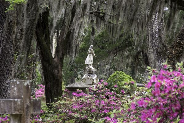 Cemetery Landscaping in Lilburn