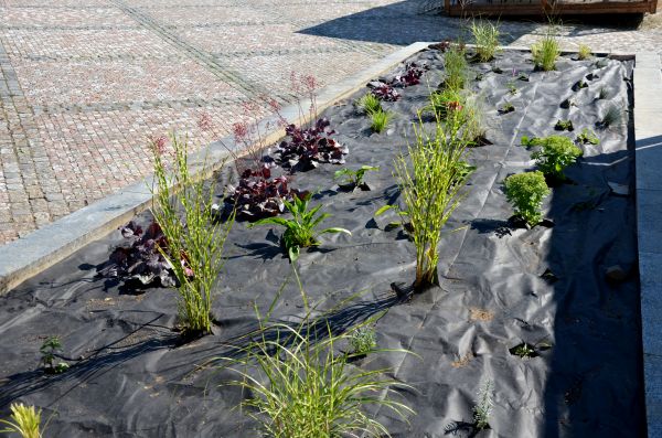 Landscape Fabric Installation in Lilburn