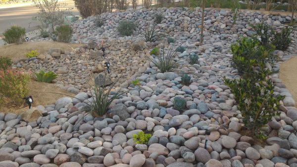 Yard Xeriscaping in Lilburn