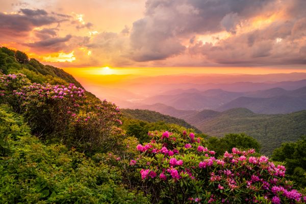 Hill Landscaping in Lilburn