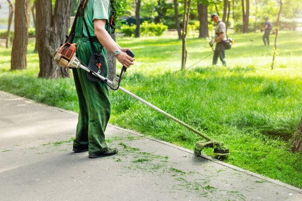 Edging Service
