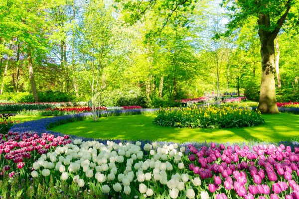 Flower Landscaping in Lilburn