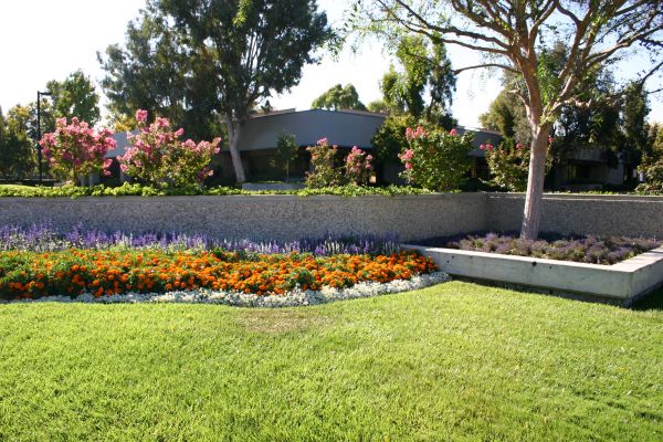 Commercial Landscape Service in Lilburn