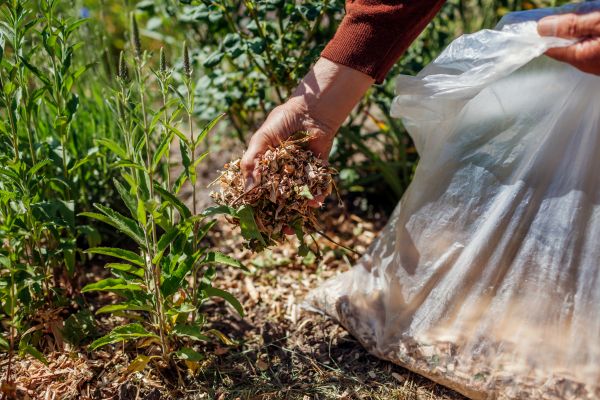 Wood Mulch Installation in Lilburn