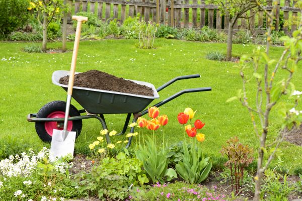 Spring Yard Renovation in Lilburn