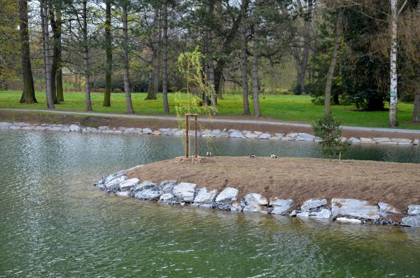 Pond Landscaping Service in Lilburn